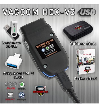 VAGCOM HEX-V2 Version 24.7.0